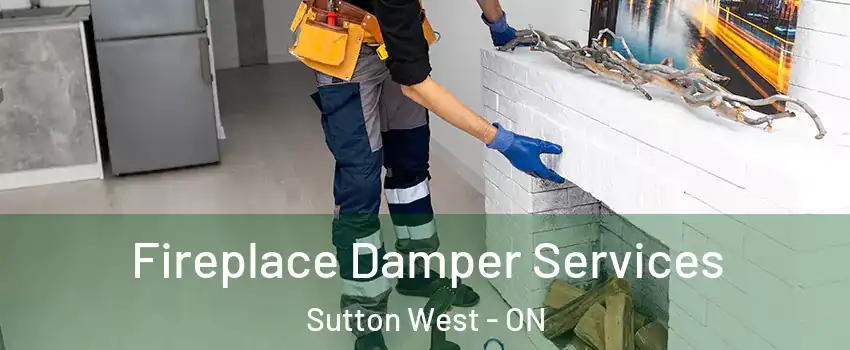 Fireplace Damper Services Sutton West - ON