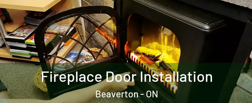  Fireplace Door Installation Beaverton - ON