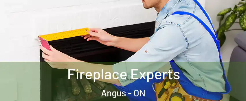  Fireplace Experts Angus - ON