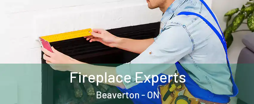 Fireplace Experts Beaverton - ON
