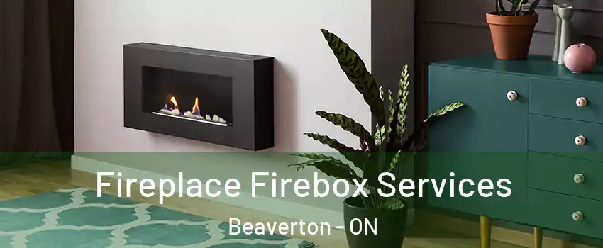 Fireplace Firebox Services Beaverton - ON