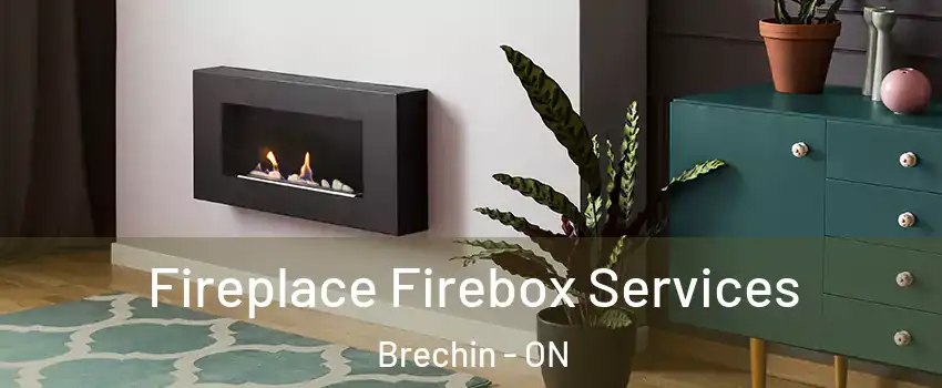  Fireplace Firebox Services Brechin - ON