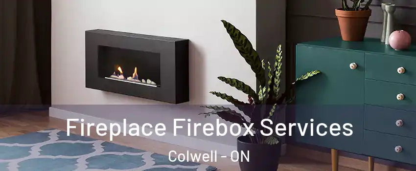 Fireplace Firebox Services Colwell - ON