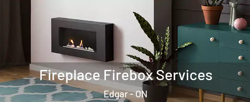  Fireplace Firebox Services Edgar - ON