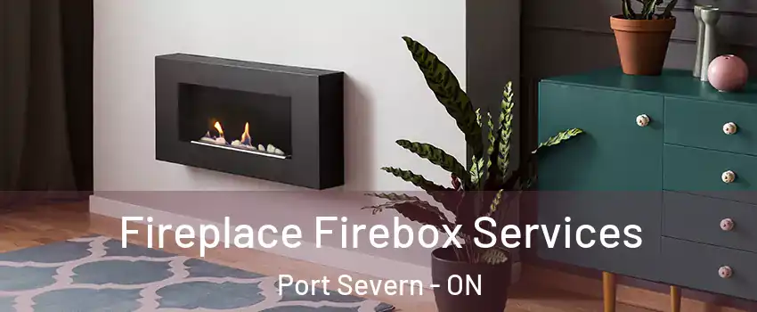  Fireplace Firebox Services Port Severn - ON