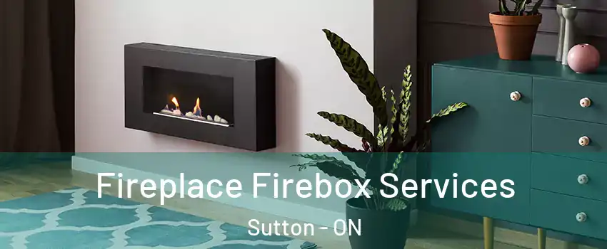  Fireplace Firebox Services Sutton - ON