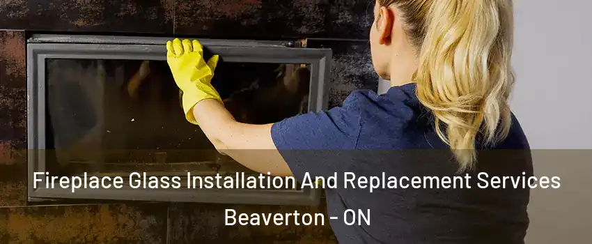  Fireplace Glass Installation And Replacement Services Beaverton - ON