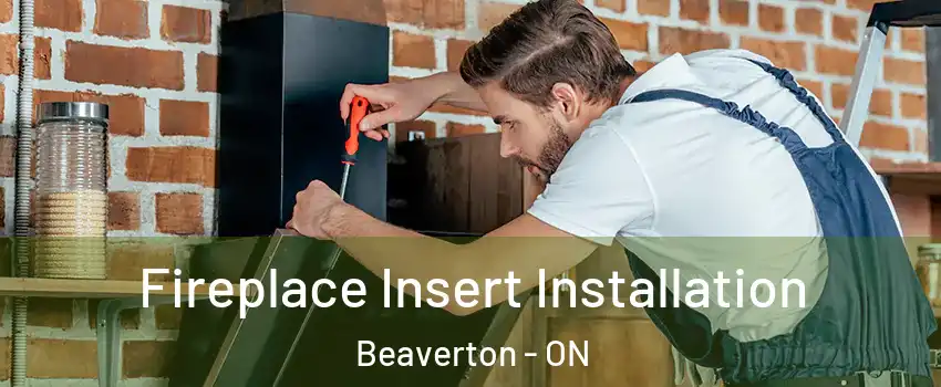  Fireplace Insert Installation Beaverton - ON