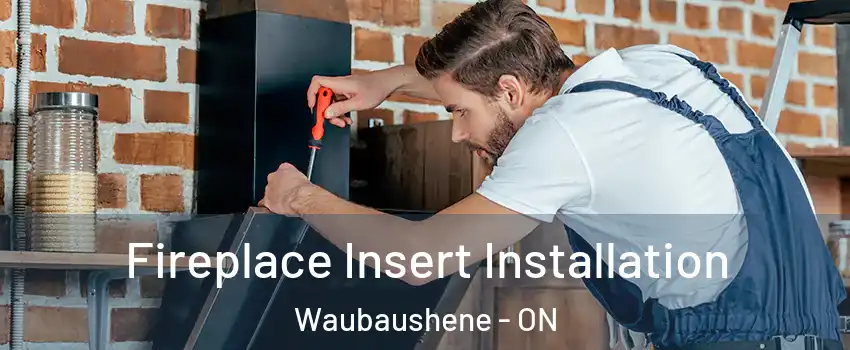 Fireplace Insert Installation Waubaushene - ON