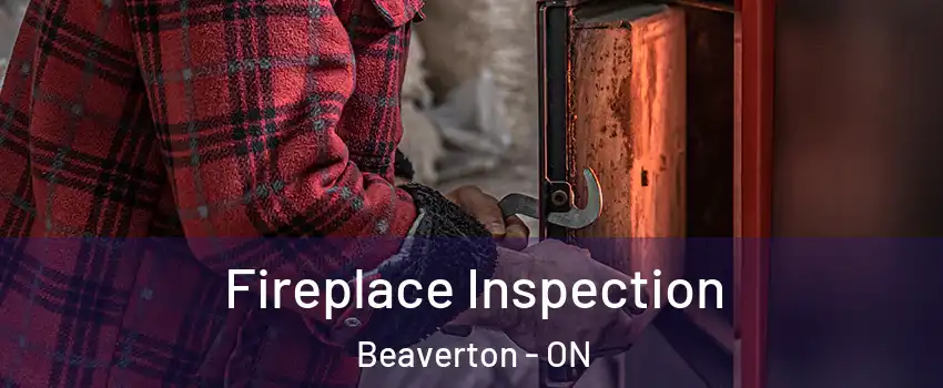  Fireplace Inspection Beaverton - ON