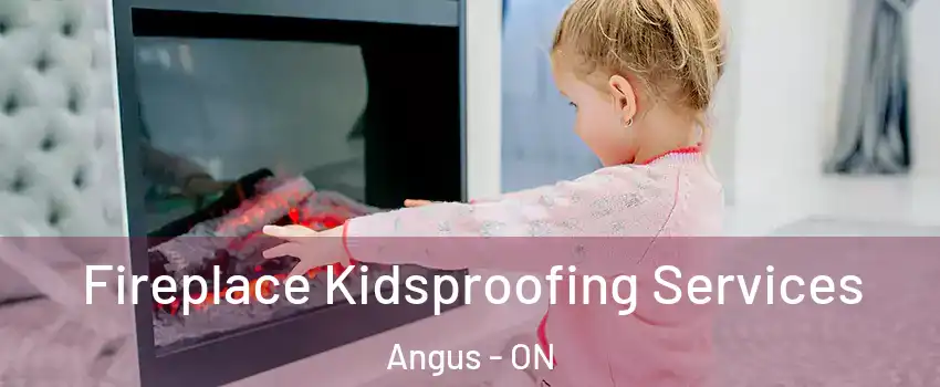  Fireplace Kidsproofing Services Angus - ON