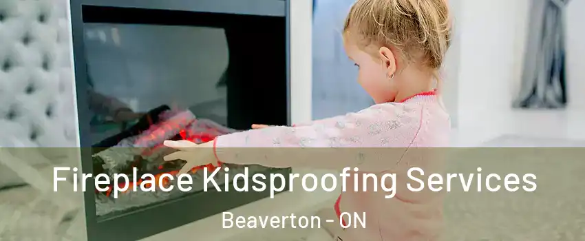  Fireplace Kidsproofing Services Beaverton - ON