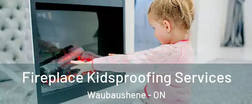  Fireplace Kidsproofing Services Waubaushene - ON