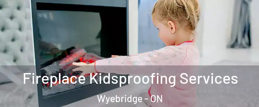  Fireplace Kidsproofing Services Wyebridge - ON