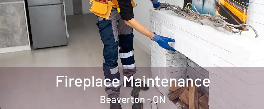 Fireplace Maintenance Beaverton - ON