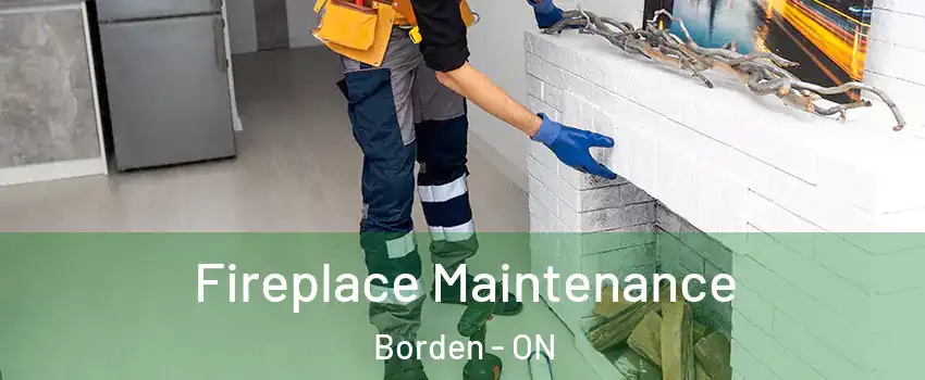  Fireplace Maintenance Borden - ON