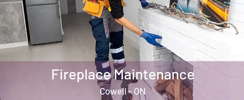  Fireplace Maintenance Cowell - ON