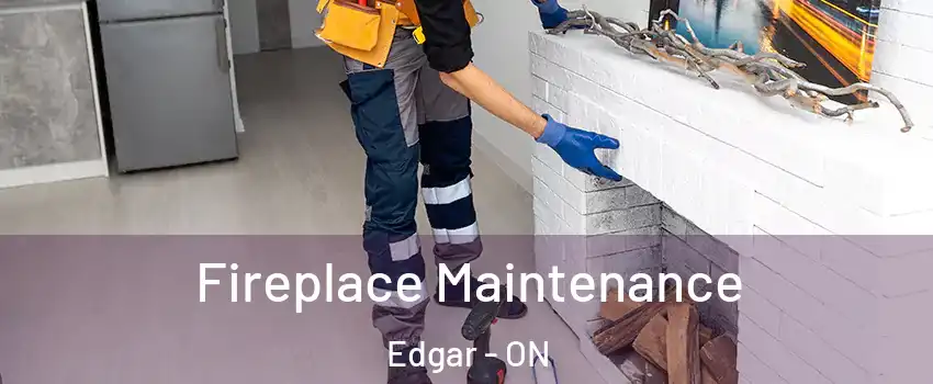  Fireplace Maintenance Edgar - ON