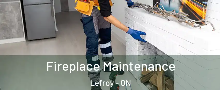  Fireplace Maintenance Lefroy - ON