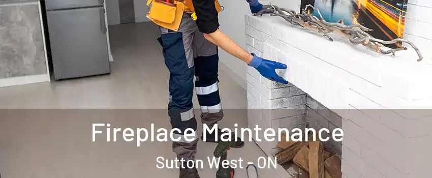 Fireplace Maintenance Sutton West - ON