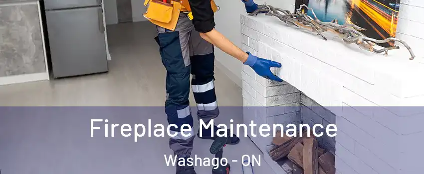  Fireplace Maintenance Washago - ON
