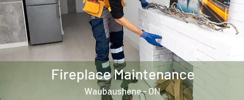  Fireplace Maintenance Waubaushene - ON
