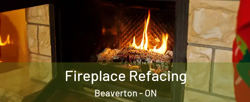  Fireplace Refacing Beaverton - ON