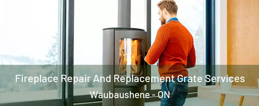  Fireplace Repair And Replacement Grate Services Waubaushene - ON