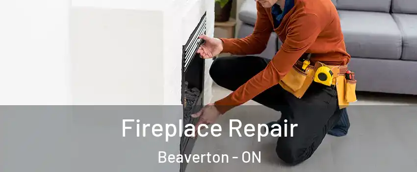  Fireplace Repair Beaverton - ON
