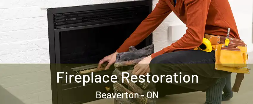  Fireplace Restoration Beaverton - ON