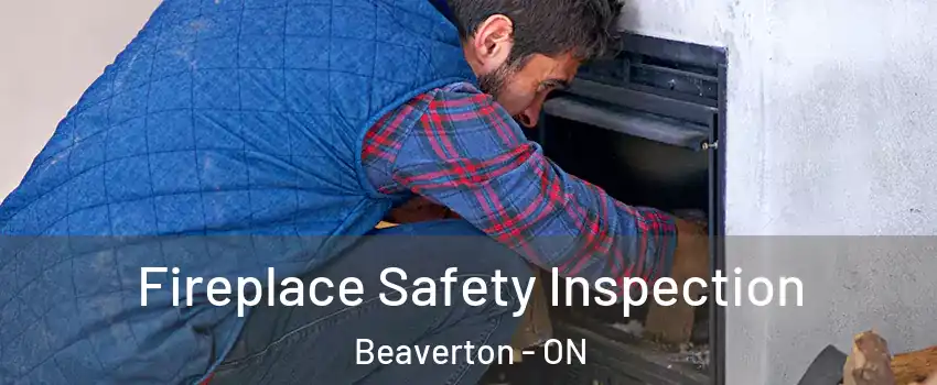  Fireplace Safety Inspection Beaverton - ON