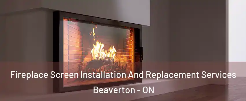 Fireplace Screen Installation And Replacement Services Beaverton - ON