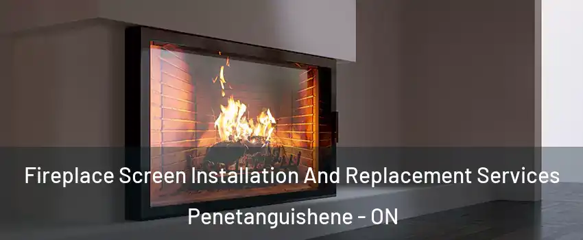  Fireplace Screen Installation And Replacement Services Penetanguishene - ON
