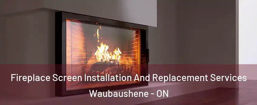  Fireplace Screen Installation And Replacement Services Waubaushene - ON