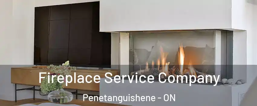  Fireplace Service Company Penetanguishene - ON