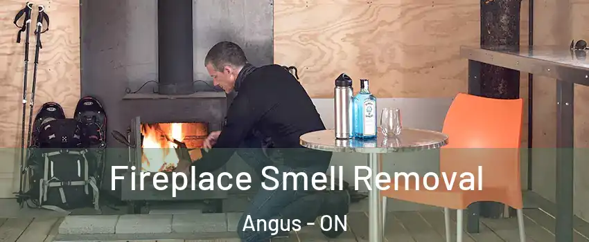  Fireplace Smell Removal Angus - ON