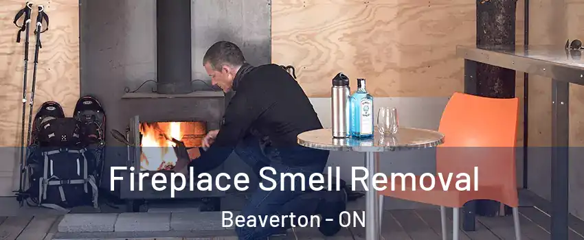  Fireplace Smell Removal Beaverton - ON