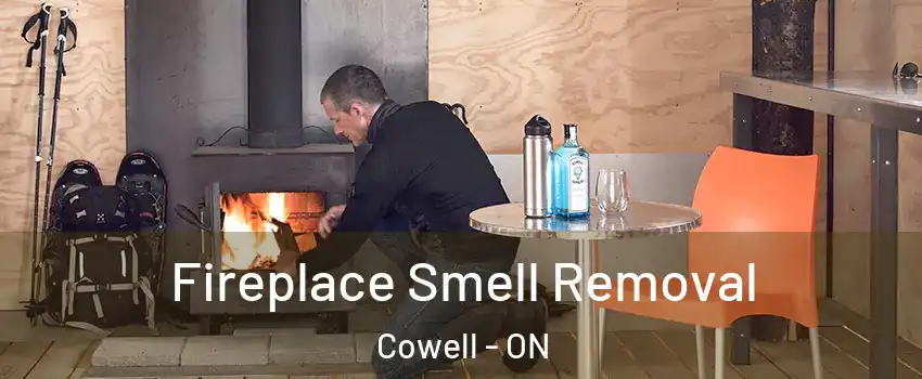  Fireplace Smell Removal Cowell - ON