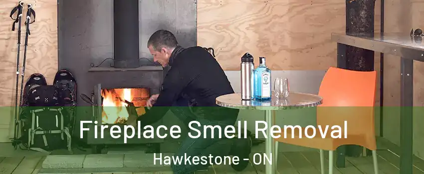  Fireplace Smell Removal Hawkestone - ON
