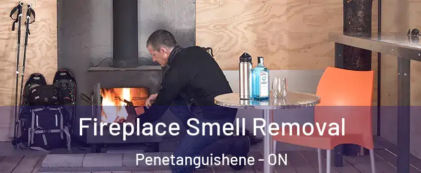  Fireplace Smell Removal Penetanguishene - ON
