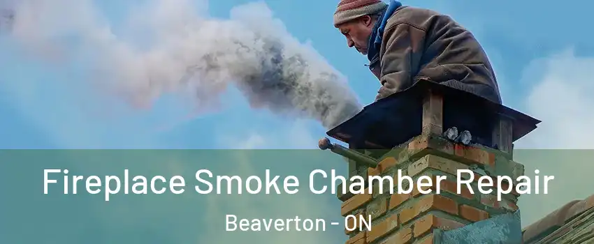  Fireplace Smoke Chamber Repair Beaverton - ON