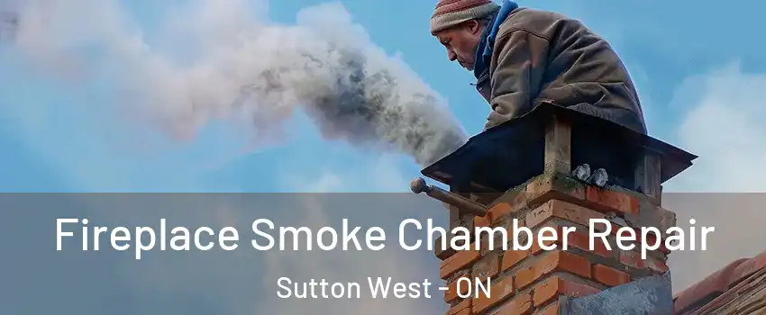  Fireplace Smoke Chamber Repair Sutton West - ON
