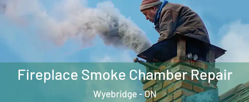  Fireplace Smoke Chamber Repair Wyebridge - ON