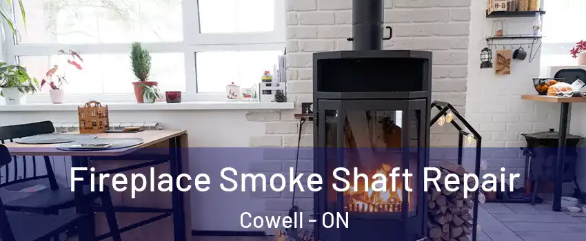  Fireplace Smoke Shaft Repair Cowell - ON