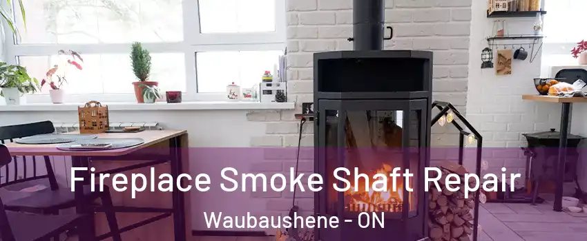  Fireplace Smoke Shaft Repair Waubaushene - ON