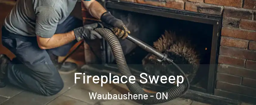  Fireplace Sweep Waubaushene - ON