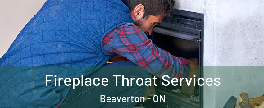  Fireplace Throat Services Beaverton - ON