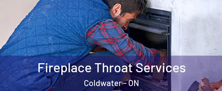  Fireplace Throat Services Coldwater - ON