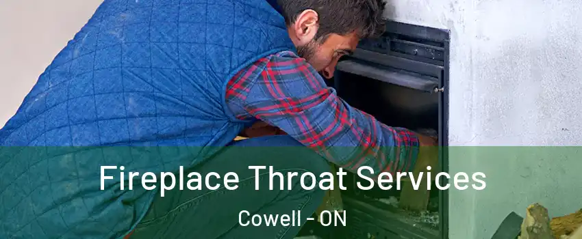  Fireplace Throat Services Cowell - ON
