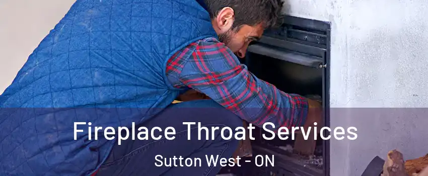  Fireplace Throat Services Sutton West - ON
